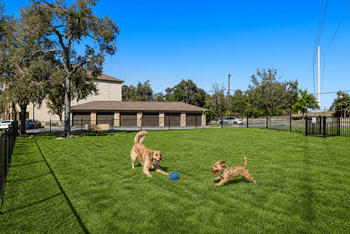 Two bark parks